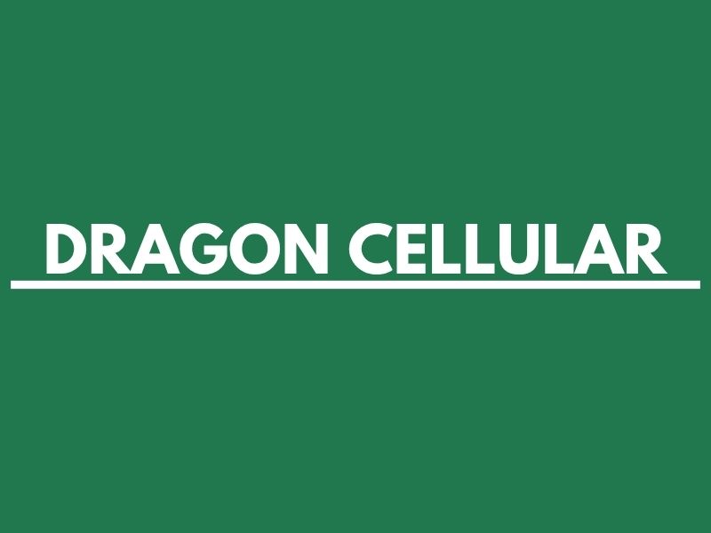 DRAGON CELL